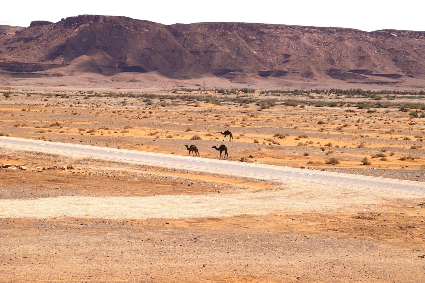 Porte De Sahara Ouzina Exteriér fotografie