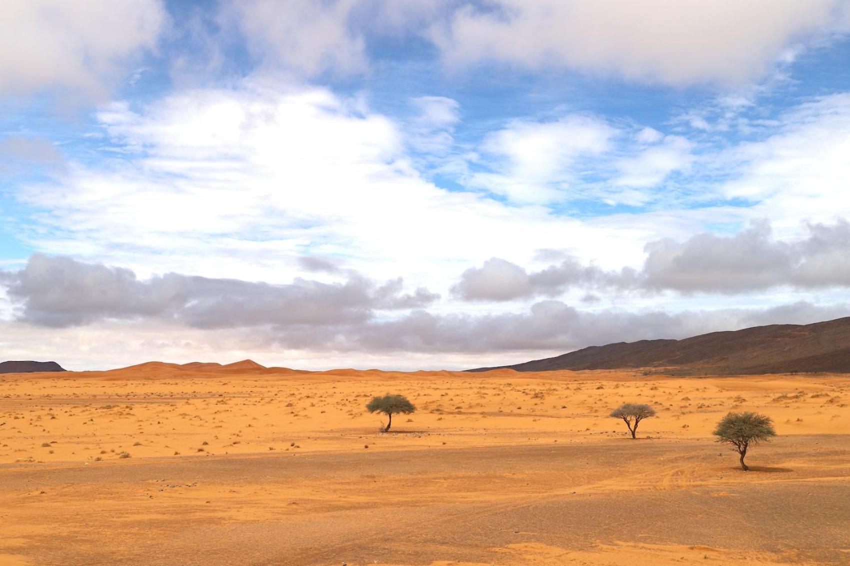 Porte De Sahara Ouzina Exteriér fotografie
